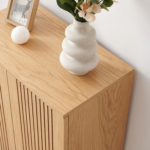 Corbin 2 Door Shoe Cabinet