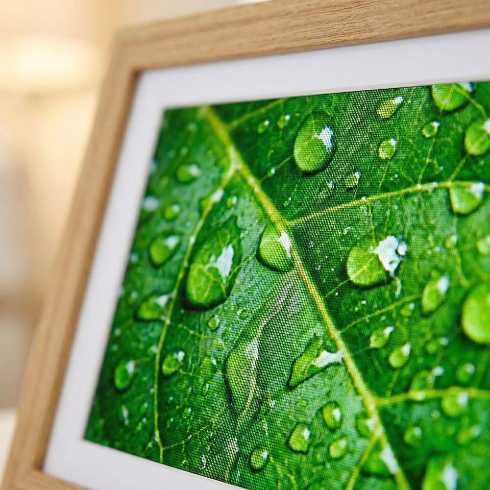 Brandy Plastic Digital Photo Frame