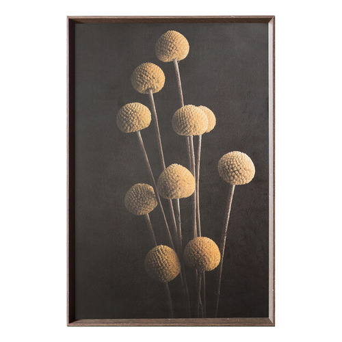 Craspedia Floral Stem Framed Paper Print Wall Art Temple & ster