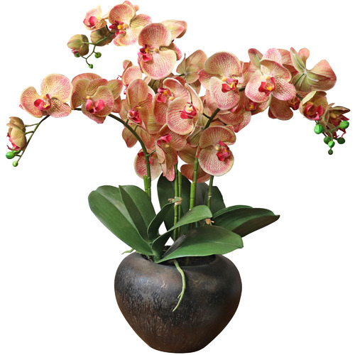 The Silk Collective 60cm Apricot Potted Faux Orchid Plant Temple