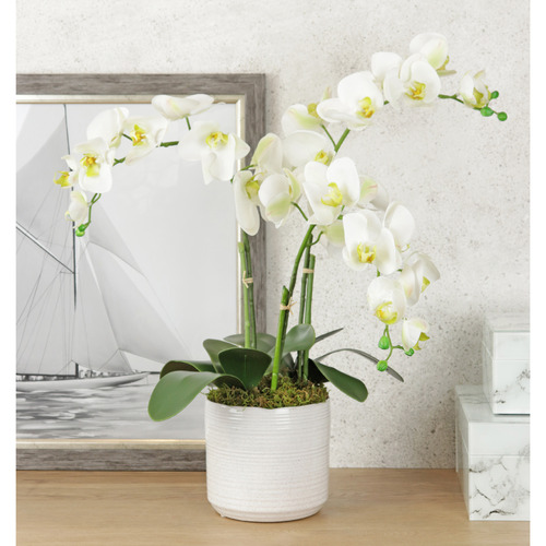 70cm White Potted Faux Orchid Plant Temple & ster