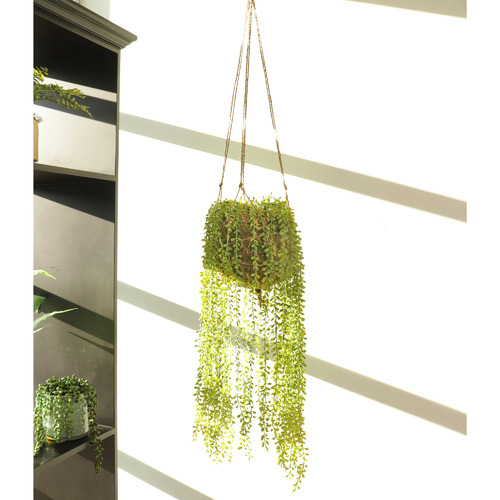 70cm Potted Faux Moss with Hanging Sprays Temple & ster