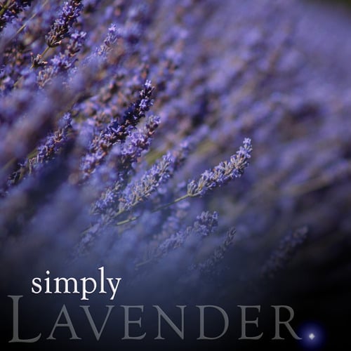 200ml Lavender Reed Diffuser Refill