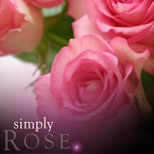 200ml Rose Reed Diffuser Refill
