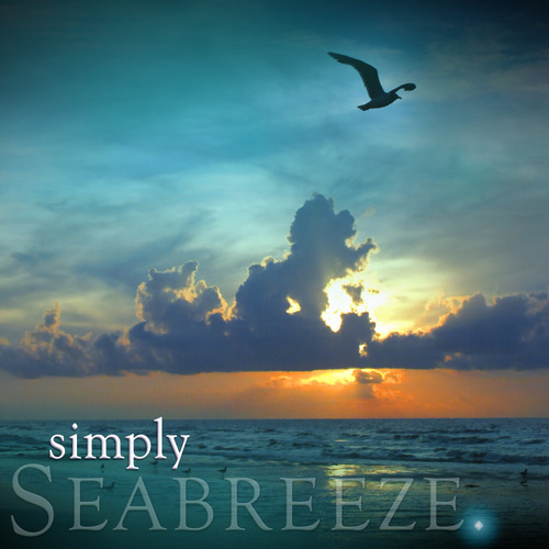 200ml Seabreeze Reed Diffuser Refill