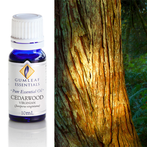 10ml Cedarwood Virginian Essential Oil