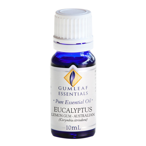 10ml Eucalyptus Lemon Gum Essential Oil | Temple & Webster