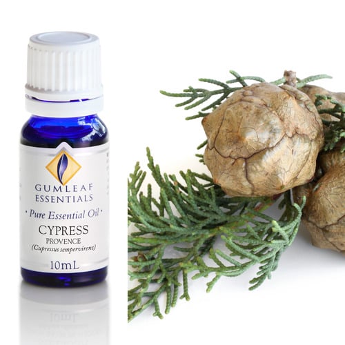 10ml Cypress Provence Essential Oil