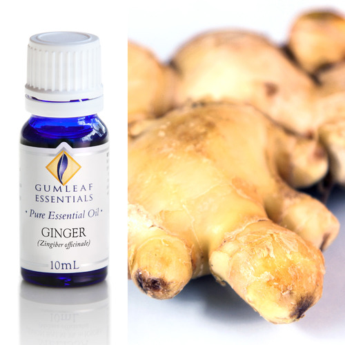 10ml Ginger Essential Oil
