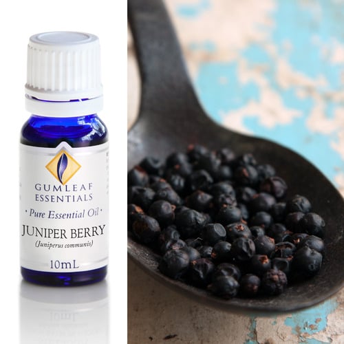 10ml Juniper Berry Essential Oil