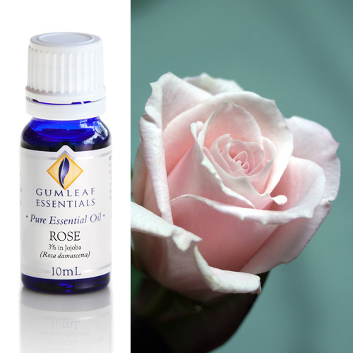 10ml Rose Essential Oil