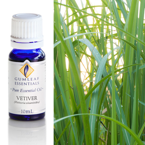 10ml Vetiver Essential Oil