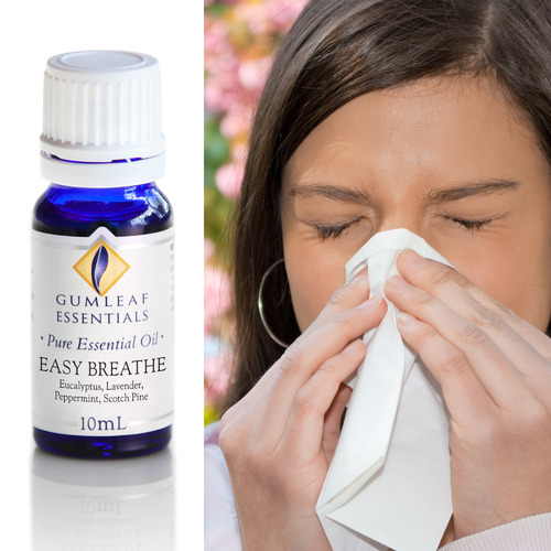 10ml Easy Breathe Essential Oil Blend