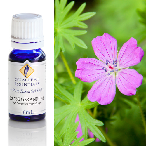 10ml Rose Geranium Essential Oil