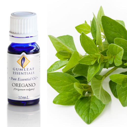 10ml Oregano Essential Oil