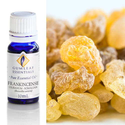 10ml Frankincense Olibanum Somalian Essential Oil