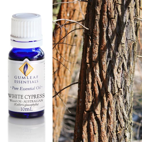 10ml White Cypress Essential Oil