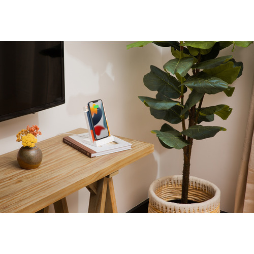 PowerPic Mod Wireless Charger