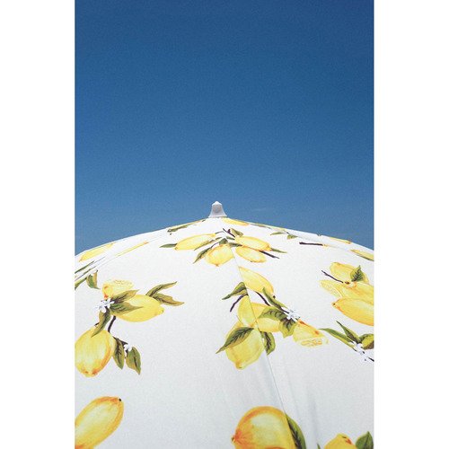 Vintage Lemons Holiday Beach Umbrella