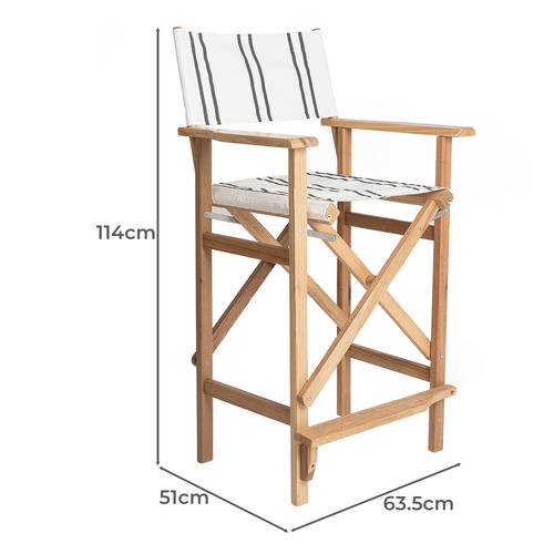 Eris Striped Outdoor Director's Chair Temple & ster