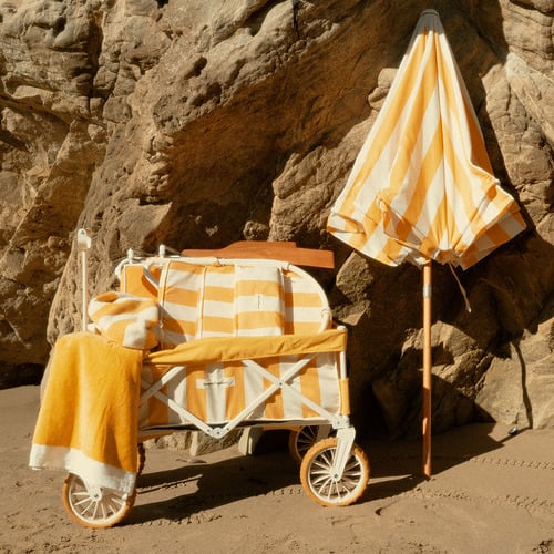 Crew Foldable Beach Cart