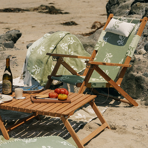 Benoit Foldable Beach Chair