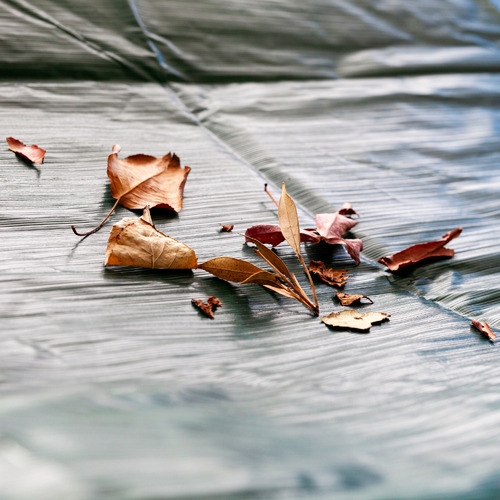 WorthCovering Green Lovell Outdoor Stacked Chairs Cover Temple & ster