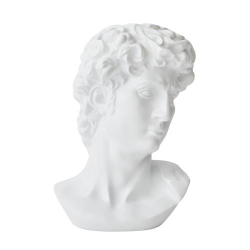 Icarus Classical Male Bust