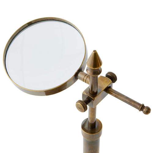 Darwin Desk Magnifier Brass Ornament