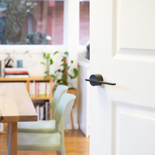 Bold Passage Door Handles