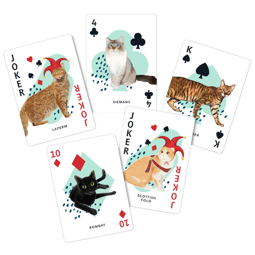 Curious Cats Casino Playing Card Deck
