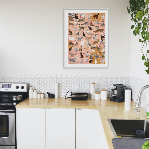 1000 Piece Curious Cats Wall Puzzle