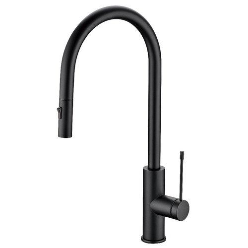 Fern Gooseneck Kitchen Sink Mixer