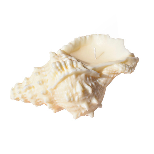 Me-Shell Coastal Soy-Blend Candle