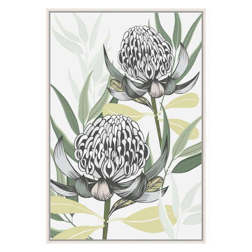 White Waratah I Printed Wall Art