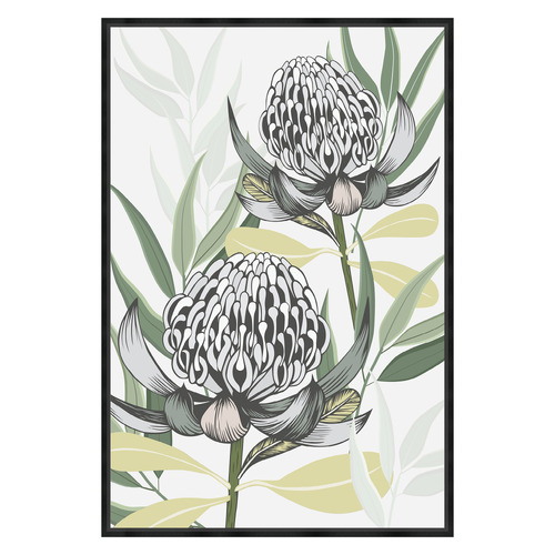 White Waratah I Printed Wall Art