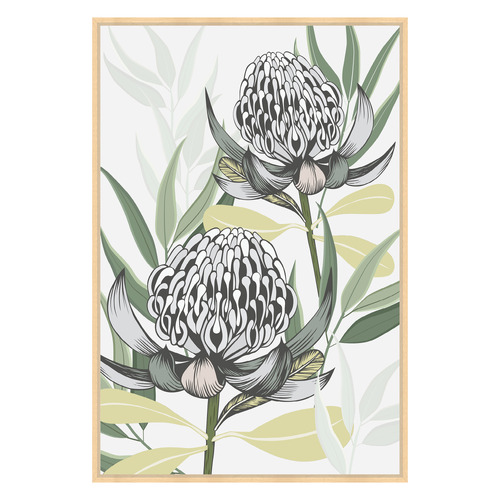 White Waratah I Printed Wall Art