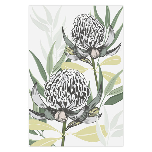 White Waratah I Printed Wall Art