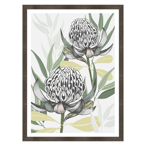 White Waratah I Printed Wall Art