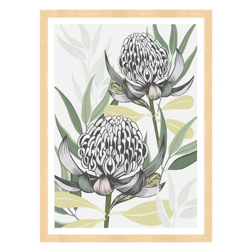 White Waratah I Printed Wall Art