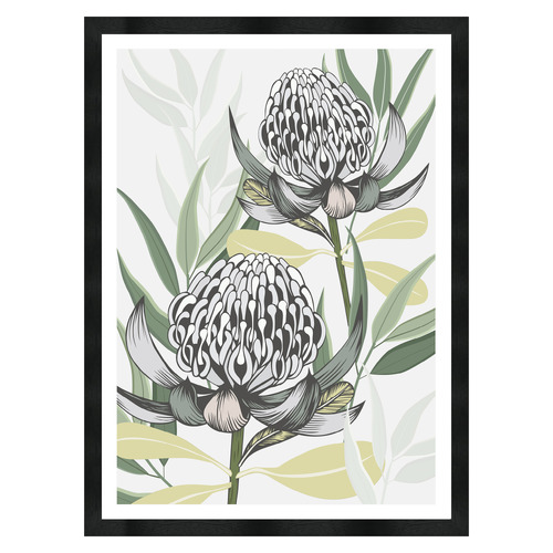 White Waratah I Printed Wall Art