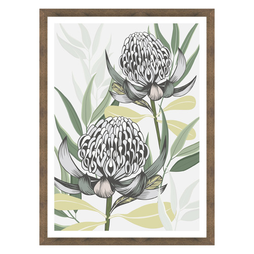 White Waratah I Printed Wall Art