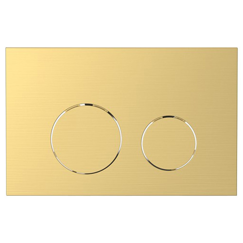 Dual Flush Plate
