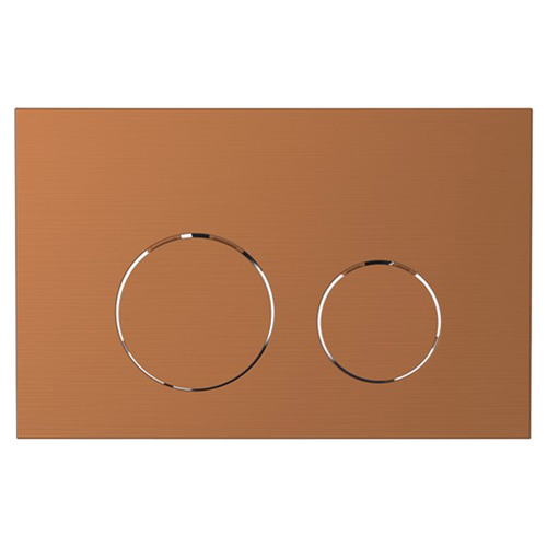 Dual Flush Plate