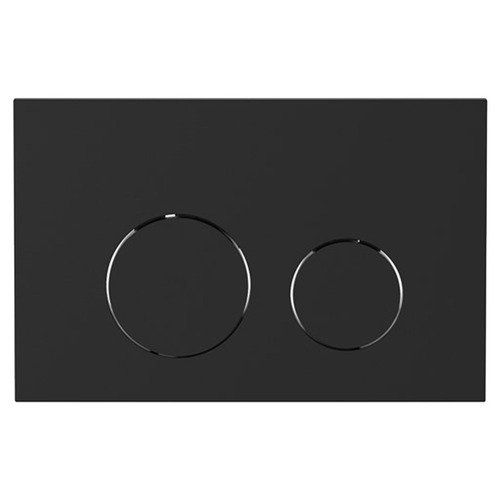 Dual Flush Plate