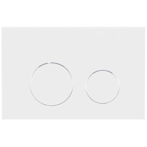 Dual Flush Plate