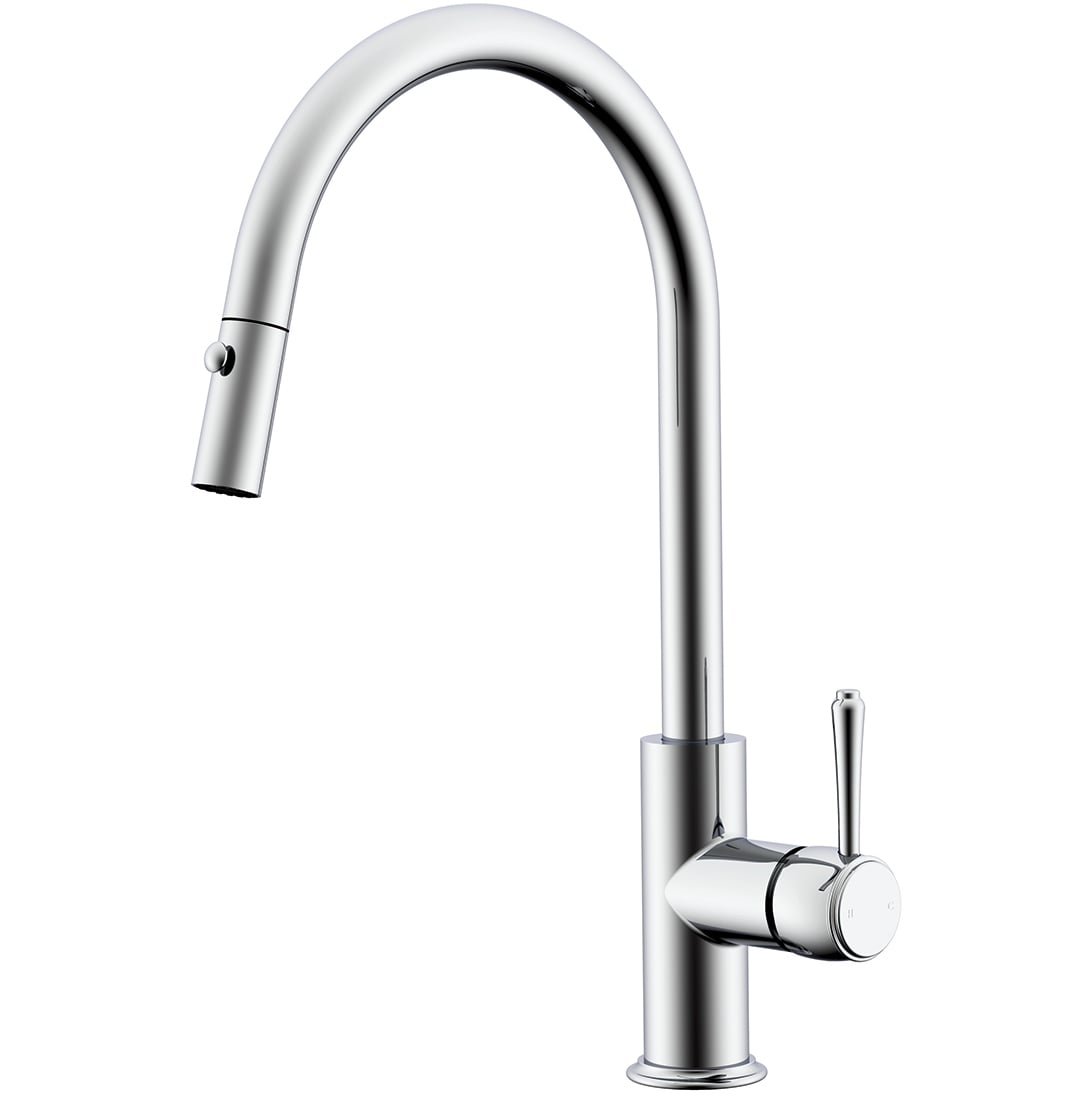 Eternal Brass Pull-Out Kitchen Mixer