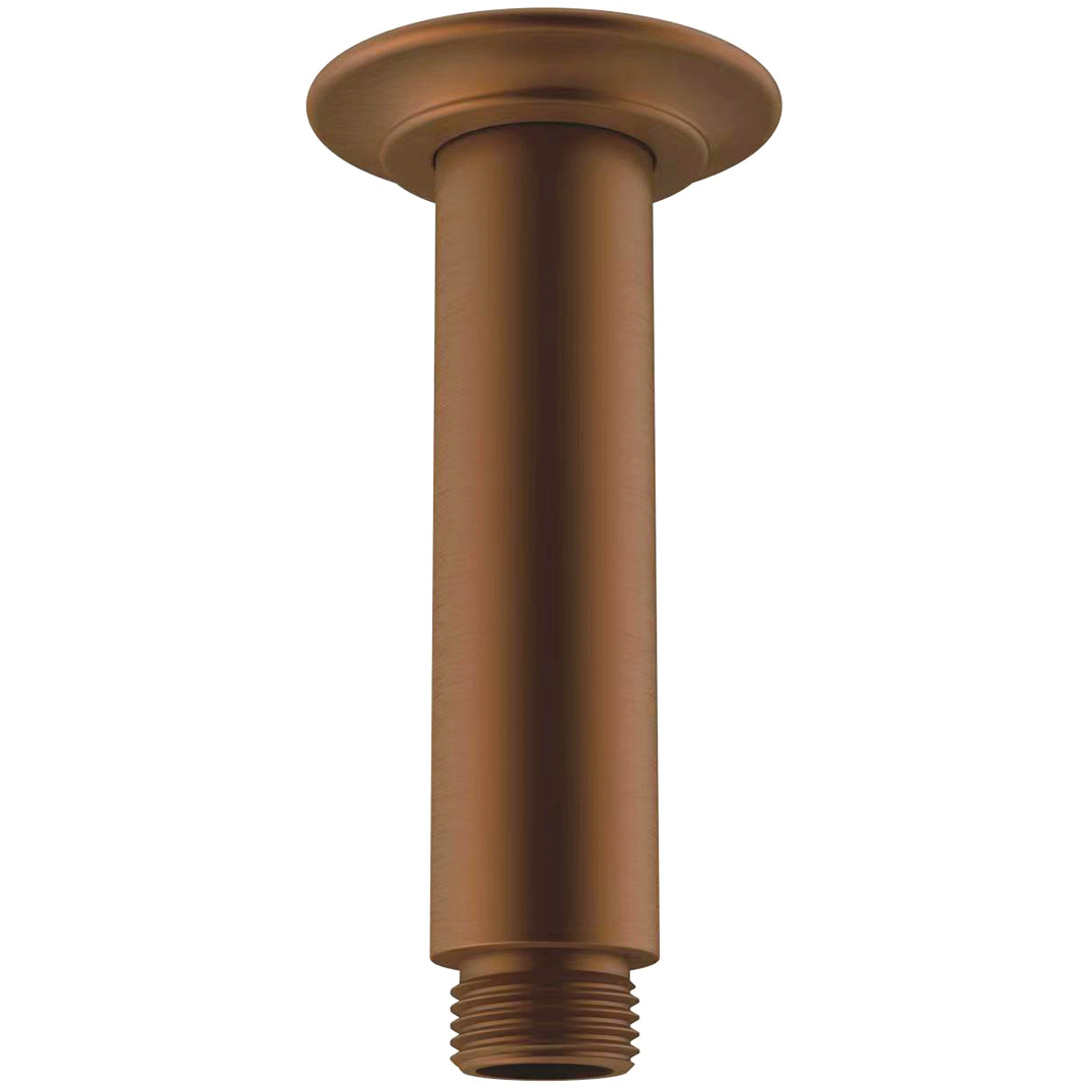 Eternal 100mm Ceiling Shower Arm