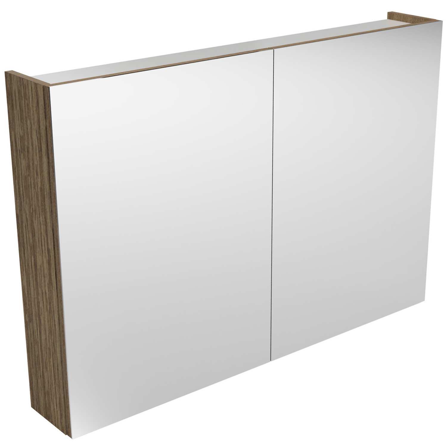 Tennessee 2 Door Shaving Cabinet