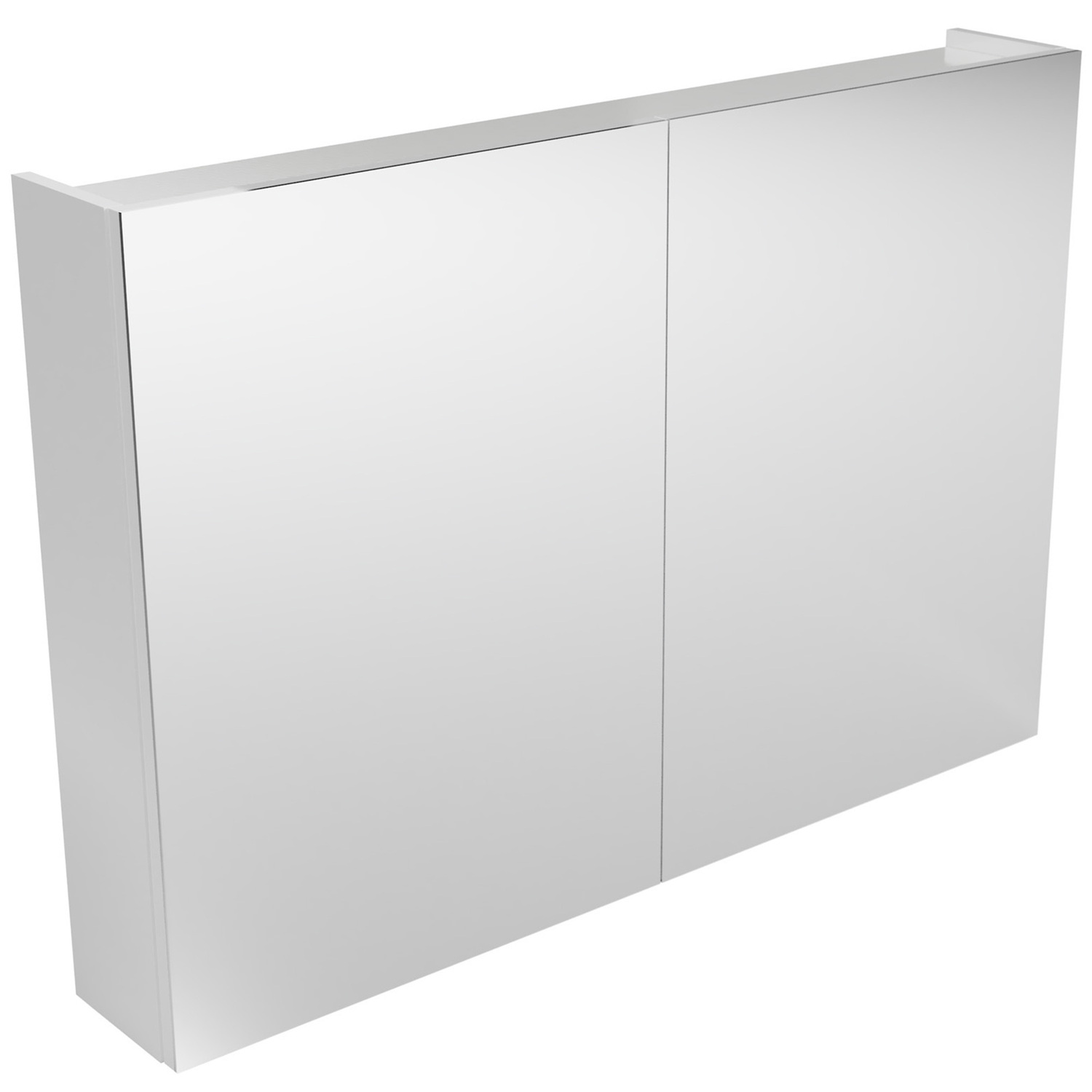 Tennessee 2 Door Shaving Cabinet